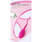 App G Spot Vibrator 9 Vibration Modes App Remote Control Bullet Egg Vibrators For Clitoral Stimulation, Anal For Women Men And Couples Pleasure Rechargeable Wearable Silicone Adult Sex Toys