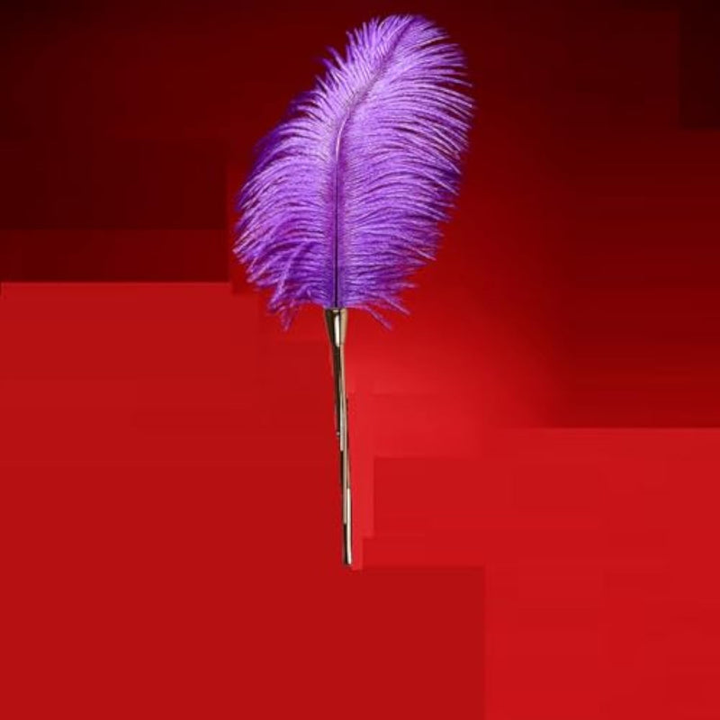Sex Novelty Toys Sex Feather Tickler Sex Ticklers For Adults Bedroom Feather Teaser Feather Stick Spanking Toy Sex Whip For Roleplay,Teasing&Flriting Purple