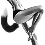 Fox Tail Anal Plugs Sexy Cat Dog Tail Cosplay Anal Plug Animal Fluffy Tail Anal Butt Plug Adult Erotic Sex Anus Flirting Sex Toys (Black And Red)