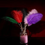 Sex Novelty Toys Sex Feather Tickler Sex Ticklers For Adults Bedroom Feather Teaser Feather Stick Spanking Toy Sex Whip For Roleplay,Teasing&Flriting Purple