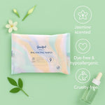 Goodful Wellness pH Balancing Wipes, 30 Count – Hypoallergenic Feminine Wipes, Gentle pH Balanced Wipes Women, Unscented Intimate Wipes