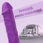 Adult Sex Toys Vibrator Realistic Dildos, G Spot Dildo With 10 Powerful Vibration Modes, Nipple Clitoris G Spot Stimulator Vibrating Dildos, Female Sex Toy For Women(Purple)
