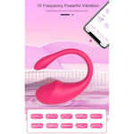 Wearable Clitoral G Spot Vibrator, App Remote Control G-Spot Panty Vibrators,Adult Stimulator Sex Toys More Than 10 Vibrations For Women And Couple (Rose Red)