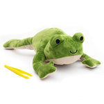 5 Pcs Frog Dissection Plush Toy Set for Kids Ages 3+, Biology STEM Learning Toy