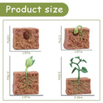 4 Pcs Plant Growth Cycle With Flash Cards,Life Cycle Learning & Education Toys,Montessori Toys,Gift For Girl & Boy For 3 4 5 6 7 Year Old (Plant)