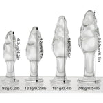 4.3 Glass Plug + 6.1 Anal Dildo