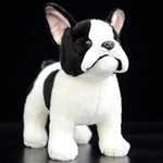 Realistic French Bulldog Stuffed Animal - Black 10.24" Plush Toy, Hugging Companion For Dogs, Boys, Girls, Kids - Home Decor