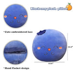 Blueberry Plush Pillow, Fruit Stuffed Animal, Food Plush Pillow With Hand Pocket, Gift For Kids Adults (12.9 * 12.2In)