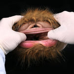 Animal Male Masturbators Cup With Removeable Fur, Tiger Lifelike Pocket Pussy Stroker Sucking Sex Toy For Man Silicone Dual Channel Realistic 3D Sleeve, Male Masterbaters For Man Pleasure