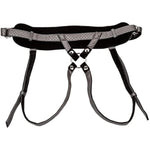 Her Royal Harness The Regal Princess