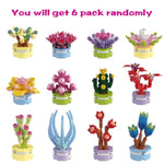 6 Pack Random Succulent Plants Building Block Toys In Plastic Eggs Blind Packaging For Kids Boys Girls Teens Christmas Stocking Stuffers Gifts Party Favors