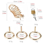 Penis Cage Sm Sex Toys Metal Cock Cages With 3 Different Sized Rings Male Chasity Devices With Padlock And 2 Keys For Penises Training And Abstinence Bondage Gear (Golden)