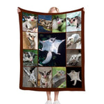 Sugar Glider Blanket Cute Weasel Animal Throw Blanket Soft Warm Cozy Fuzzy Plush Gifts For Girls Women Lightweight Fleece Flannel Stuff Decor Blankets For Kids Adults 50"X40"