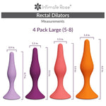 Save 10% On Rose 4-Pack Rectal Trainers - Size 5-8 & Dilator Handle - For Use With Dilators