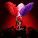Sex Novelty Toys Sex Feather Tickler Sex Ticklers For Adults Bedroom Feather Teaser Feather Stick Spanking Toy Sex Whip For Roleplay,Teasing&Flriting Purple