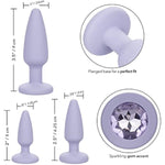 First Time Crystal Booty Kit Anal Butt Plug Toy Set Of 3 - Purple Se-0004-40-2