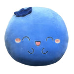 Blueberry Plush Pillow, Fruit Stuffed Animal, Food Plush Pillow With Hand Pocket, Gift For Kids Adults (12.9 * 12.2In)