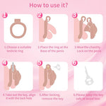Inverted Chastity Cage, Sissy Chastity Device Cock Cage Adult Sex Toy, Skin