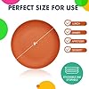 Deep Dinner Plates Set of 8 Alternative for Plastic Plates Microwave and Dishwasher Safe Wheat Straw Plates for Kitchen Unbreakable Kids Plates with 4 Colors (Classic Bright, 9 inch)