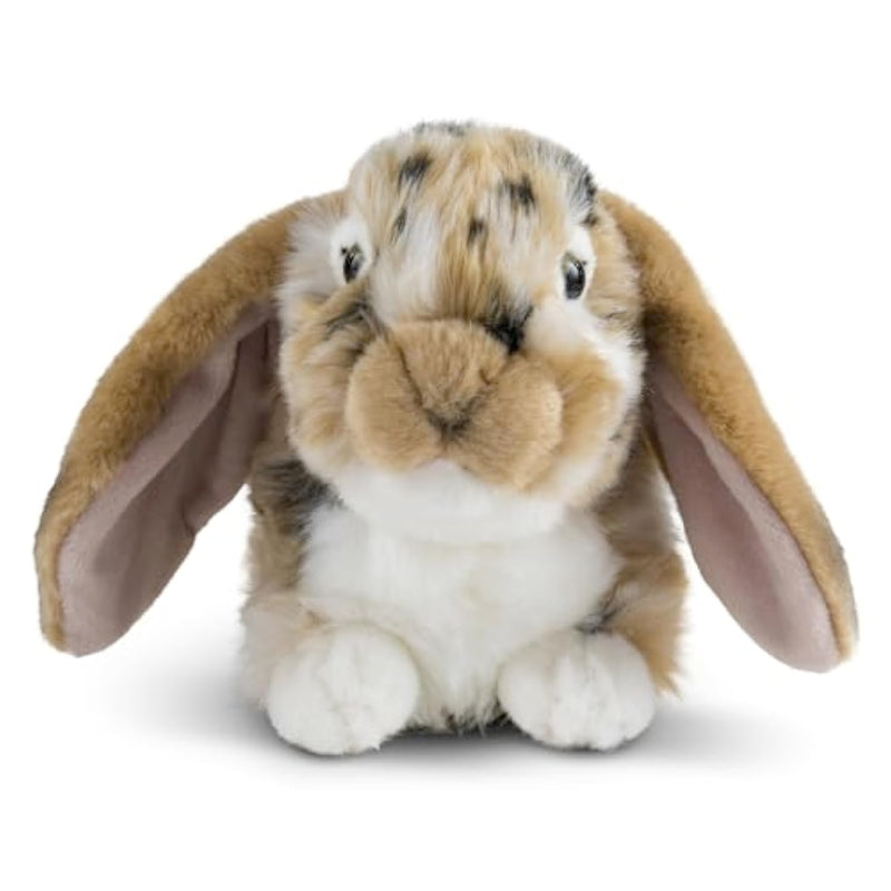 Brown Dutch Lop Eared Rabbit Stuffed Animal | Fluffy Rabbit Animal | Soft Toy For Kids | 10 Inches
