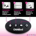 Wireless Remote Control Wearable Panty Vibrator for Women with 3 Pleasure Modes and Long Playtime