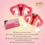 Uterus Plush Toy, Hysterectomy Gifts, Endometriosis Awareness, Feminist Gifts, Fertility Gift, Get Well Gift