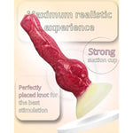 8.5 Inch Dog Dildo, Knot Dildo, Doggy Dildos Red Fantasy Dildo Suction Cup, Furry Dildo, Monster, Animal Dildo, Knotted Dildo, Dildo With Knot, Anal Dildo, Alien Dildo, Realistic Wolf Dildo, G-Spot