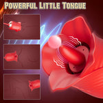 Clitoral & Vagina Sucking Vibrator with 5 & 10 Modes for Quick Pleasure.