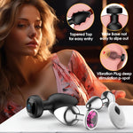 3PCS Vibrating Metal Anal Plugs with Remote Control, 10 Vibration Modes for Men & Women