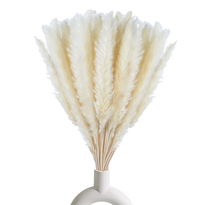 30 Pcs White Pampas Grass ,17 Inch/45 Cm Natural Dried Pampas Grass Branches D