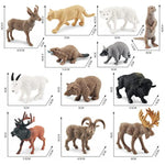 North American Animals Set 12Pcs Mini Wild Animals Figurines Set Cludes Moose Raccoon Cougar, Wolf, Beaver For Children Educational Toy Cake Toppers