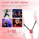 Adult Sex Toys Wearable Panty Vibrator,Female Sex Toy With 10 Vibration Modes,Vibrating Penis Ring Clitoral Stimulator,Couple Sex Toy With Remote Control Vibrators For Women Men Sexual Pleasure Bdsm