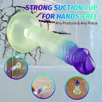 6 Inch Clear Dildo Anal Dildo Suction Cup Dildo for Women