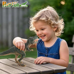 Dinosaurs - 11", T Rex Dinosaur Toy - Tyrannosaurus Rex Action Figure With - Realistic Dino Figurine - Trex Figure For Boys And Girls - Big Dinosaur Toys For Kids Ages 3+ 34567.Gift For Boys & Girls.