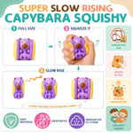 Capybara Squishy Kit, 5-Pack DIY Paint Your Own Squeeze Toys Birthday Gifts for Kids