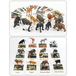 Small Montessori Animal Figures With Flash Cards, Realistic Animal Figurines Toys, Montessori Materials Homeschool Preschool Science Educational Matching Game For Toddler Kids (Zoo)