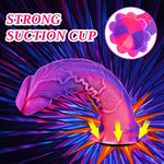 3 Piece Silicone Suction Cup Realistic Dildo Set (Small Medium Large): Anal Plug Training Kit With Big Size, G-Spot Stimulation, Suction Cup Toy For Women, Body Safe Silicone