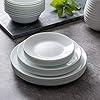 Vitrelle 8-Piece Dinner Plates Set, Triple Layer Glass and Chip Resistant, Lightweight Round Plates, Winter Frost White