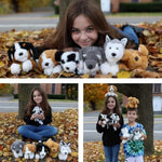 6 Pcs Bulk Stuffed Animals, 11" Fluffy Assorted Stuffed Puppy Plush Toys For Kids, Dog Doll Set For Dog Themed Party Favors Gift (Lying)