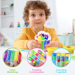 2 Pcs Color Sorting Sensory Toys For Toddlers: Quiet Calm Down Corner Supplies For Kids - Fine Motor Matching Game For Preschool Learning Activities - Stocking Stuffer Sensory Products For Kids 3+