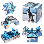 2 In 1 Magic Cube Set, Fidget Toy For Kids Adults, Yoshimoto Cube For Ages 8-12, Arctic/Antarctic Animals Puzzle Cube Fun Toy For Boys Girls (Polar Series)