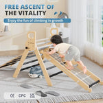10-In-1 Pikler Triangle Set, Toddler Climbing Toys Indoor, Montessori Climber, Baby Jungle Gyms With Arch, Extra Rope Ladder & Footprint Balance Beam - Grey Twilight
