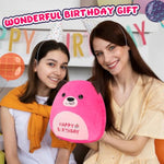 12” Birthday Bear Plush Pillow Hot Pink Happy Birthday Pillow Soft Cute Bear Plush Toy Stuffed Animal Gifts For Kids