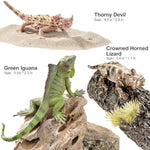 6Pcs Large Lizard Figurines Animal Toys, Realistic Plastic Reptile Animal Figures, Includes Bearded Dragon,Green Iguana,Frilled,Coast Horned,Plains Rock Figures, Educational Toy For Kids