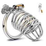 Stainless Steel Male Chastity Cage with Invisible Lock and 2 Keys for Men's Bondage Gear