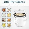 Housewares 4-Cups (Cooked) / 1Qt. Rice & Grain Cooker