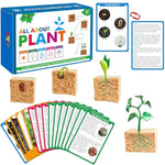 15 Plant Life Circle Flashcards With 4 Plastic Figurines-Seed To Plant, Plants Introduction Card Plants Growth Details For Nature Lovers & Adults, Montessori Toy For Kids