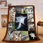 Sugar Glider Blanket Cute Weasel Animal Throw Blanket Soft Warm Cozy Fuzzy Plush Gifts For Girls Women Lightweight Fleece Flannel Stuff Decor Blankets For Kids Adults 50"X40"