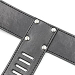 Female Chastity Belts For Women With Lock Pu Cock Cage Belt Bdsm Chasity Devices Adjustable Strap Bondage Belt,Sex Restraints Furniture Toys For Couples (Pink)