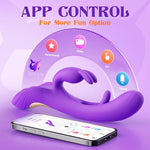 4-in-1 Rabbit Vibrator for Women – G-Spot, Clitoral & Anal Stimulator with App Control